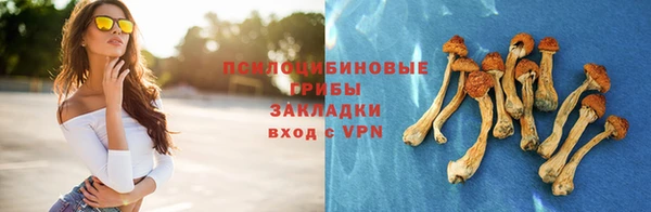 бошки Ессентукская