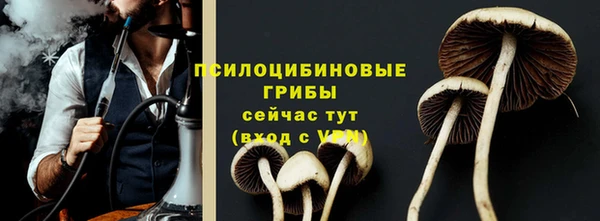 шишки Фёдоровский