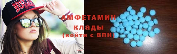 шишки Фёдоровский