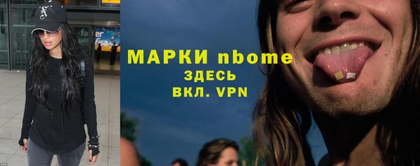 шишки Фёдоровский