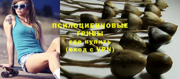 spice Калининец