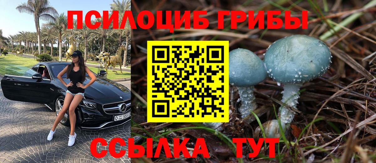 Псилоцибиновые грибы мухоморы Великий Новгород