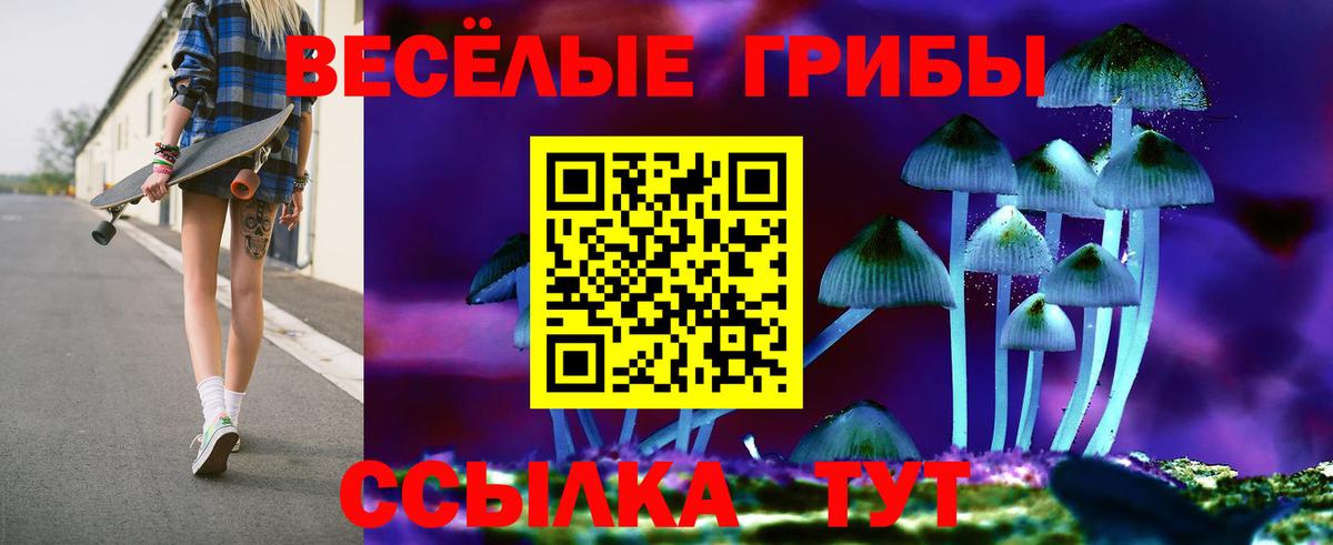Псилоцибиновые грибы Psilocybe Великий Новгород