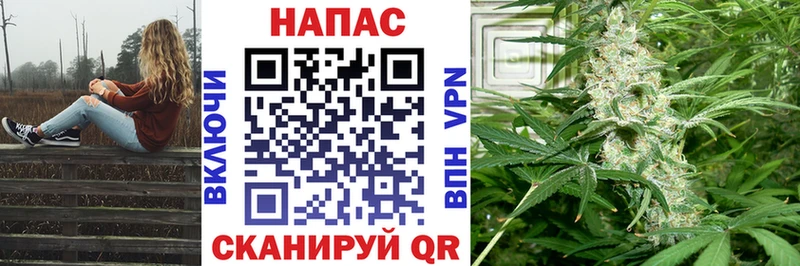 Бошки Шишки Amnesia Великий Новгород