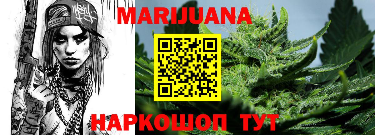 Альфа ПВП Великий Новгород